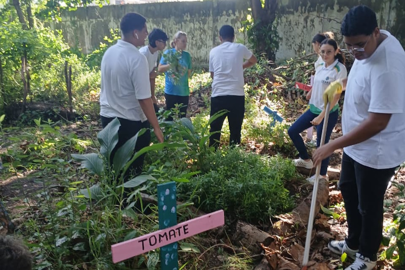 Terre des Hommes Brasil lança curso gratuito de Educação Ambiental para fortalecer práticas sustentáveis nas escolas