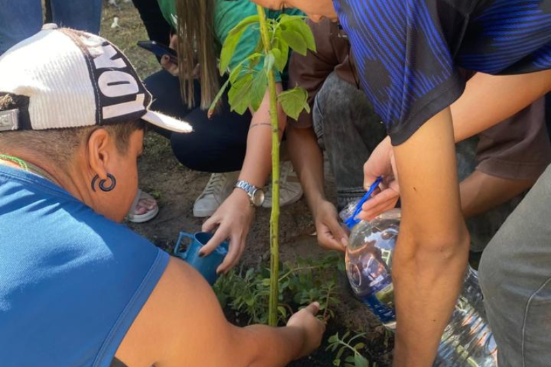 Projeto Saúde Ambiental: 119 estudantes participam de ação de arborização na escola Estado de Alagoas, em Fortaleza